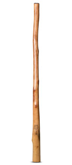 Marcos Ferrazza Didgeridoo (MF134)